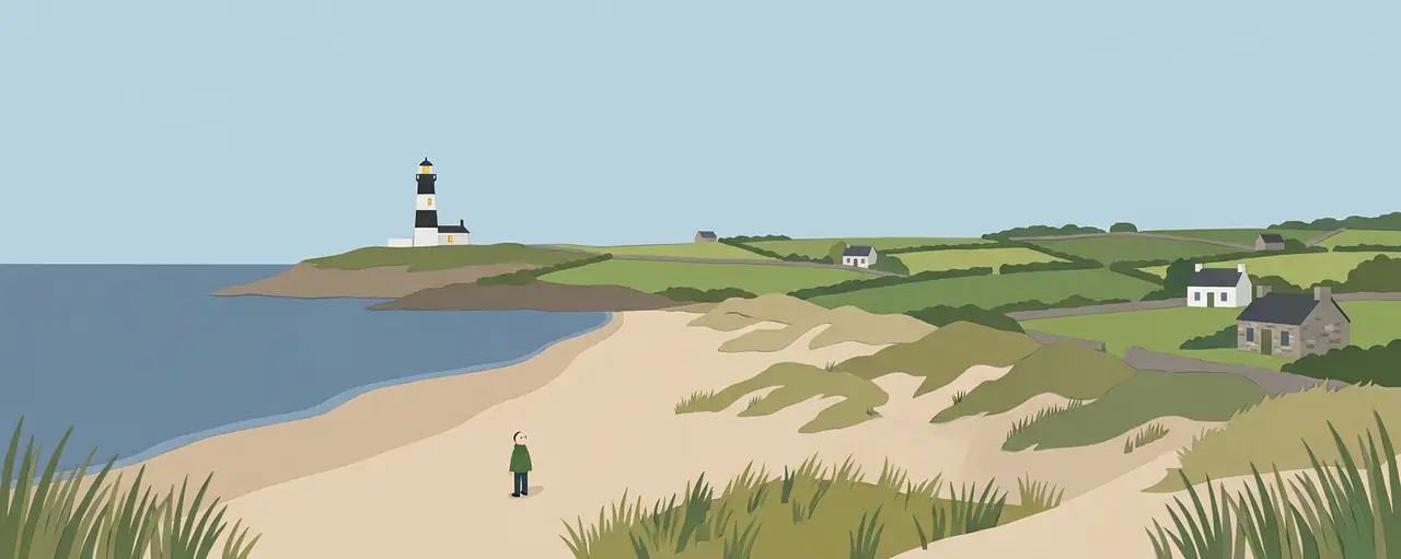 An illustrated landscape of Wexford.